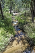 nanga-brooke;lane-poole-reserve;dwellingup;western-australia-reserves;waterfall;lane-poole-reserve-w