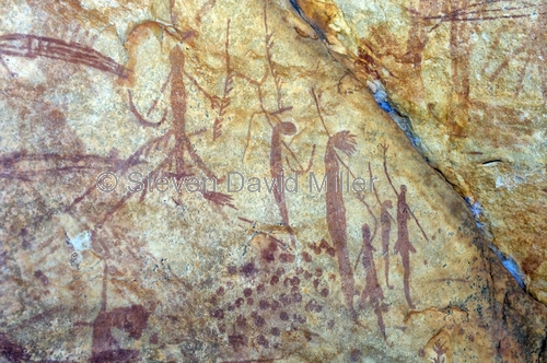 bradshaw rock art;gwion gwion rock art;kimberley region rock art;mitchell plateau;mitchell river national park;aboriginal rock art;rock art;australian rock art
