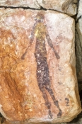 bradshaw-rock-art;gwion-gwion-rock-art;kimberley-region-rock-art;mitchell-plateau;mitchell-river-nat