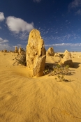 the-pinnacles;sandstone-pinnacles;nambung-national-park;western-australia-national-park;eroded-sands