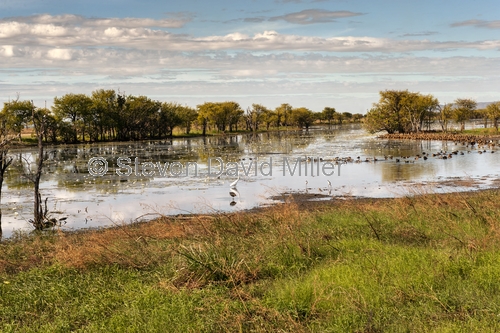 parry lagoons nature reserve;parry lagoons nature preserve;ramsar wetland;ramsar wetland of international importance;wetland;parry lagoons;wyndham;kimberley;western australia