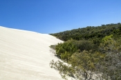 yeagarup-lake;pemberton;dentrecasteaux-national-park;yeagarup-sand-dunes;yeagarup-dune-system;shifti