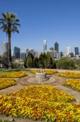 kings-park;perth;captial-of-western-australia;perth-skyline