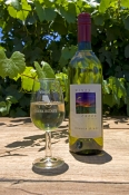 wine-bottle;wine-glass;windy-creek-winery;perth-winery;perth-wine-tasting-tours;perth;perth-tourist-
