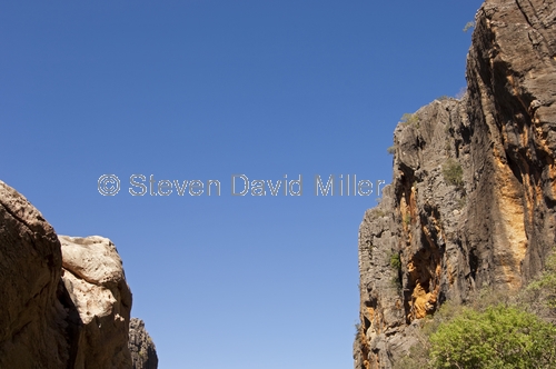 windjana gorge national park;devonian coral reef;limestone cliffs;the kimberley;western australia;steven david miller