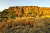 windjana-gorge-national-park;devonian-coral-reef;limestone-cliffs;the-kimberley;western-australia-na