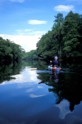 ginnie-springs;santa-fe-river;kayaking-on-the-santa-fe-river;kayaking-at-ginnie-springs