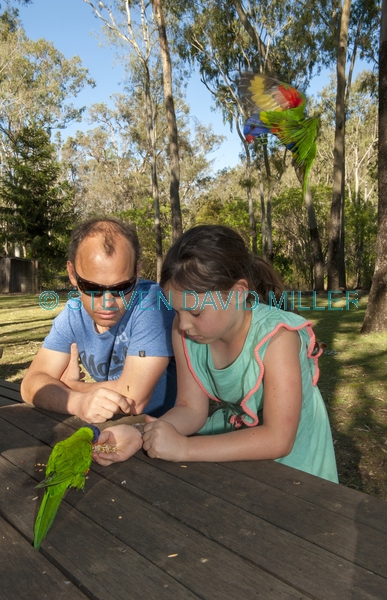 australian family;girl feeding birds
