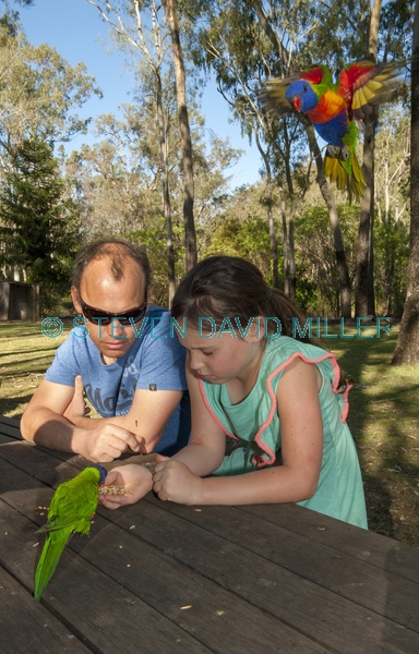 australian family;girl feeding birds