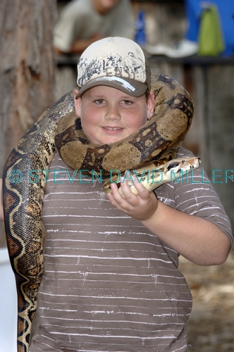 snake demonstation;boy handling snake;boy handling python;australian reptile park;boy with snake;boy with python