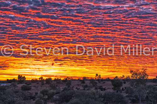 Uluru Sunset