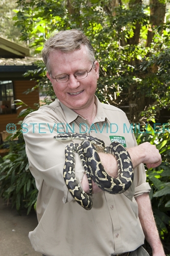 man holding snake;vet holding snake in care;carrumbin wildlife sanctuary