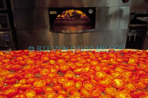 tray of tomatoes;cut tomatoes;cheery tomatoes;steven david miller