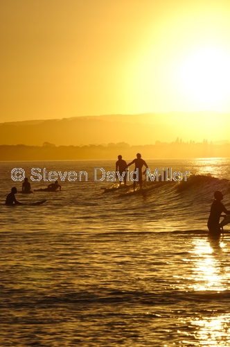 surfer;surfers;byron bay;byron bay surfer;surfer with surfboard;surfer at byron bay;clarkes beach;australian surfer;steven david miller;natural wanders;bryon bay sunset;surfers at sunset