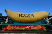 the-big-banana;big-banana-picture;big-banana;coffs-harbour;new-south-wales;banana-statue;steven-davi
