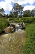 cowra-japanese-gardens-picture;japanese-gardens;cowra-japanese-gardens;cowra;cowra-breakout;cowra-po