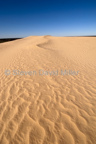 mungo national park picture;mungo national park;walls of china;sand dunes;new south wales outback;australian national park;new south wales national park;steven david miller;natural wanders