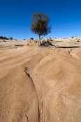 mungo-national-park-picture;mungo-national-park;walls-of-china;sand-dunes;new-south-wales-outback;au
