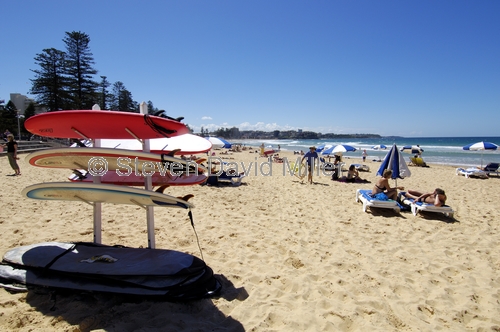 manly;manly beach;surfboards on beach;sydney beach;sydney suburb beach;sydney;sydney tourist attractions;steven david miller;natural wanders