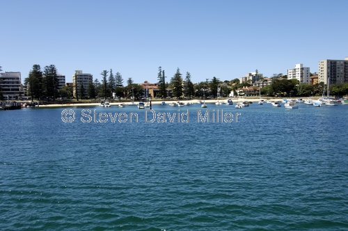 manly;manly cove;manly harbour-side;sydney;sydney tourist attractions;steven david miller;natural wanders