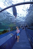 sydney-aquarium;darling-harbour;sydney;sydney-tourist-attractions;oceanarium;steven-david-miller;nat