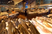 Fish Market & Markets