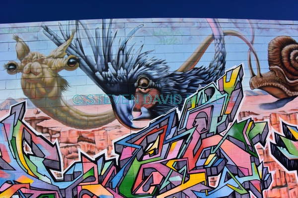 mural;australian mural;alice springs