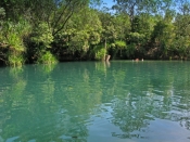 berry-springs;berry-springs-nature-park;darwin;northern-territory;calm-water;peaceful-picture;reflec