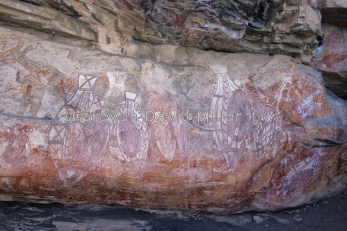 nanguluwur;kakadu;kadadu national park;kakadu rock art;northern territory;northern territory national park;aboriginal rock art;australian rock art;rock art;x-ray rock art;xray rock art;fish rock art