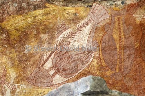 ubirr rock art site;aboriginal rock art;kakadu national park;kakadu;northern territory;northern territory national park;rock art;australian rock art;ubirr;fish in rock art;x-ray rock art;xray rock art