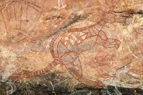 ubirr rock art site;aboriginal rock art;kakadu national park;kakadu;northern territory;northern territory national park;rock art;australian rock art;ubirr;kangaroo in rock art;x-ray rock art;xray rock art