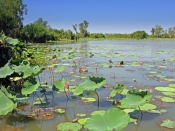 mary-river-national-park;mary-river;rockhole;couzens-lookout;mary-river-wetland;northern-territory-w