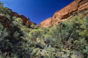 kings-canyon-picture;kings-canyon;watarrka-national-park-picture;watarrka-national-park;watarrka;nor