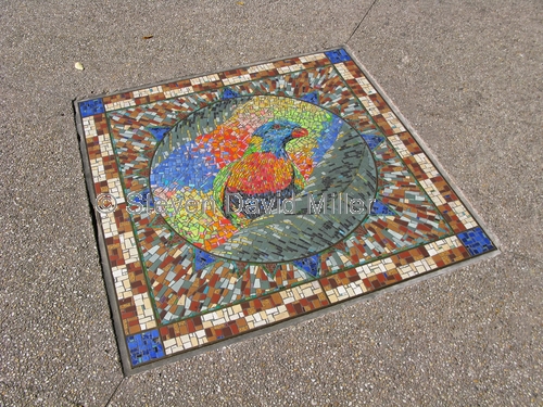 brisbane;south bank;mosaic;bird mosaic;sidewalk;foot path;sidewalk art;foot path art;rainbow lorikeet
