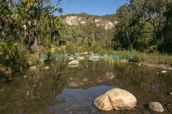 australian national parks;carnarvon gorge section of carnarvon national park