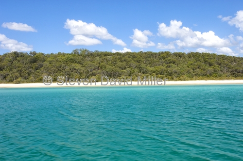 platypus bay;fraser island;wathumba;wathumb campground;fraser island national park;great sandy national park;queensland national park;australian national park;great sandy marine park