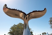 hervey-bay;whale-tail-sculpture;humpback-whale-sculpture;great-sandy-marine-park;queensland;great-sa