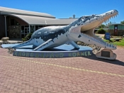 kronosaurus-korner-regional-visitor-information-centre;marine-fossil;kronosaurs-queenslandicus;austr