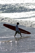 coolangatta-beach;gold-coast;queensland-gold-coast;boy-with-surfboard;walking-with-surfboard;queensl