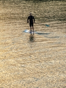 sunset-paddleboard
