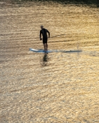 sunset-paddleboard