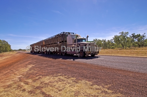 road train;cattle truck;savannah way