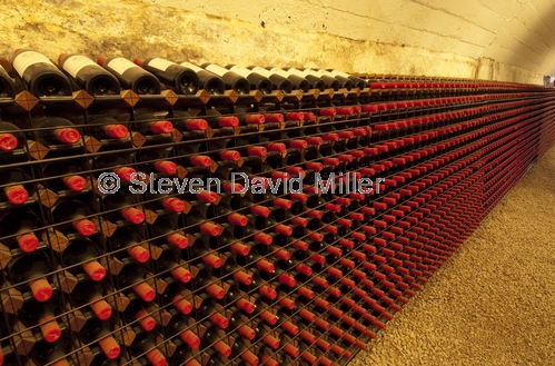 winery;cellar winery;wine tanks;wine casks;wine barrels;penfolds winery;adelaide;penfolds winery tour;south australian wine;penfolds;wine bottles