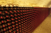 winery;cellar-winery;wine-tanks;wine-casks;wine-barrels;penfolds-winery;adelaide;penfolds-winery-tou