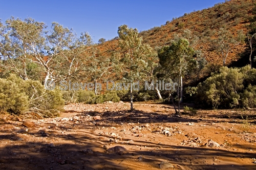 arkaroola;gammon ranges;northern flinders ranges;arkaroola wilderness sanctuary;south australia;outback;south australia outback;creek crossing;dry creek bed