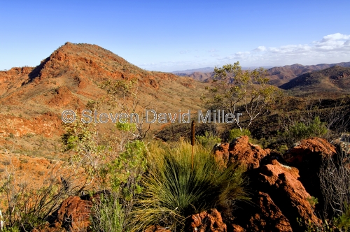 arkaroola;gammon ranges;northern flinders ranges;arkaroola wilderness sanctuary;south australia;outback;south australia outback