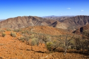 arkaroola;gammon-ranges;northern-flinders-ranges;arkaroola-wilderness-sanctuary;south-australia;outb