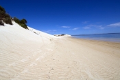 seven-mile-beach;7-mile-beach;coffin-track;coffin-bay-national-park;south-australian-national-park;a
