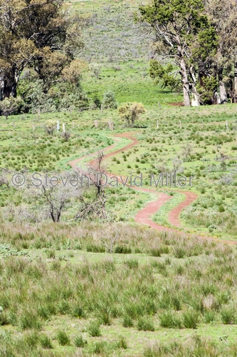mawson trail;flinders ranges national park;wilpenna;wilpenna campground;flinders ranges;mawson bike trail;south australian national park;australian national park