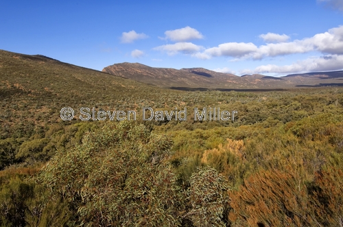 wangarra lookout;wilpena;wilpena pound;flinders ranges;flinders ranges national park;south australian national park